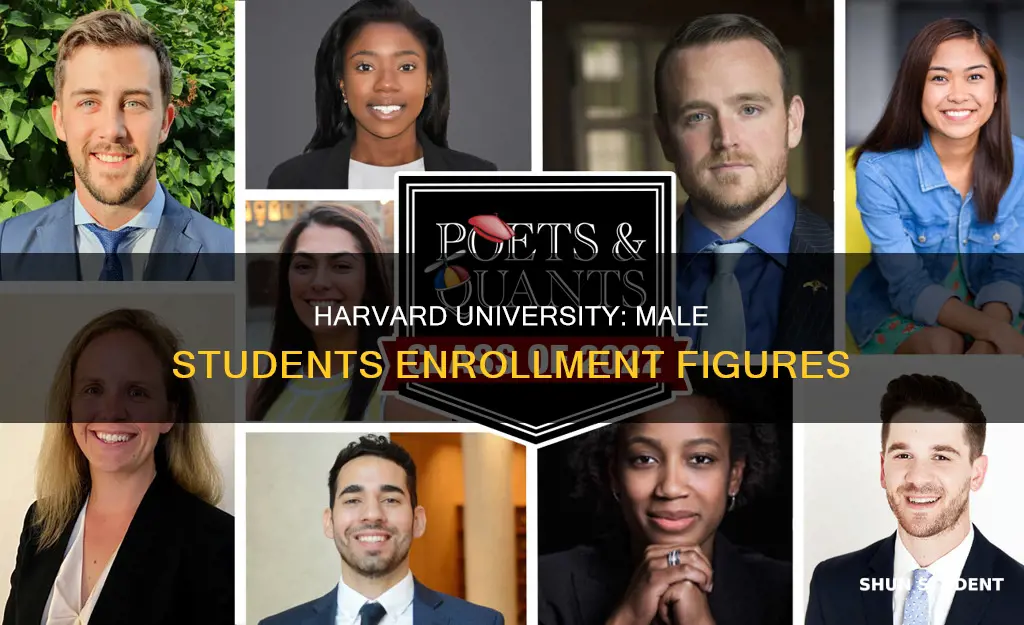 how many students are males at harvard university