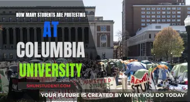 Protesting Students at Columbia University: A Growing Number