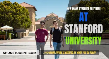 A Vibrant Student Community: Stanford University's Population