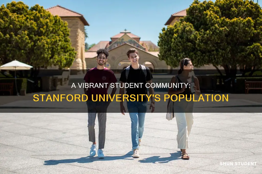 how many students are there at stanford university