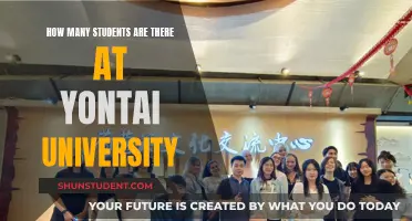 Yontai University: Student Population and Campus Life