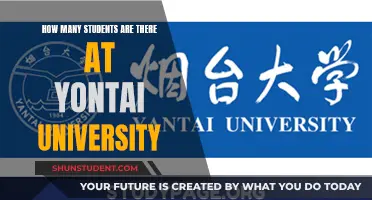 Yontai University: Student Population and Campus Life