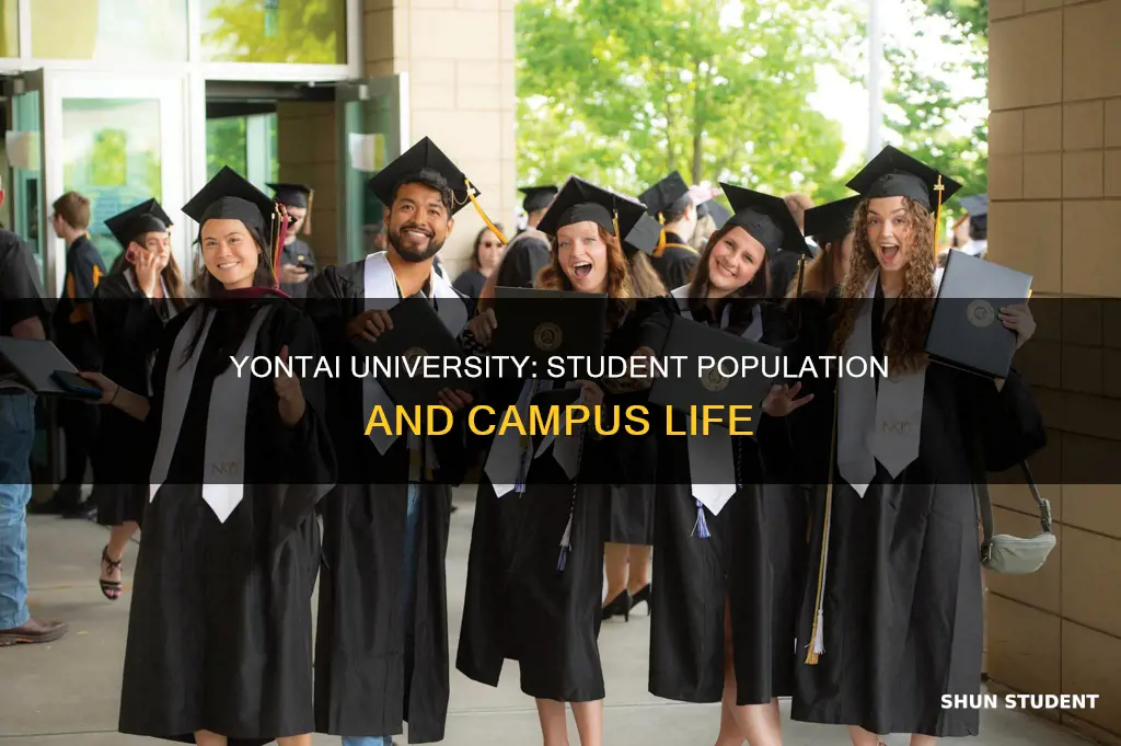 how many students are there at yontai university
