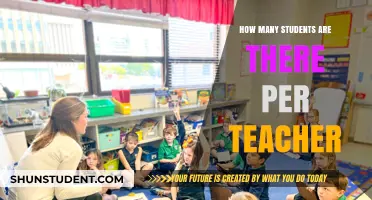 Teacher-Student Ratio: Understanding Classroom Sizes and Educational Impact