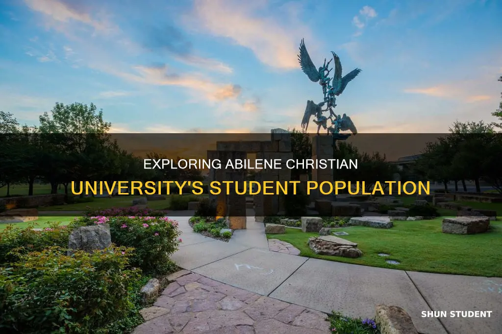 how many students at abilene christian university