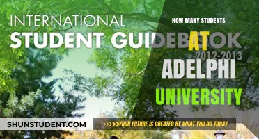 Exploring Adelphi University's Student Population