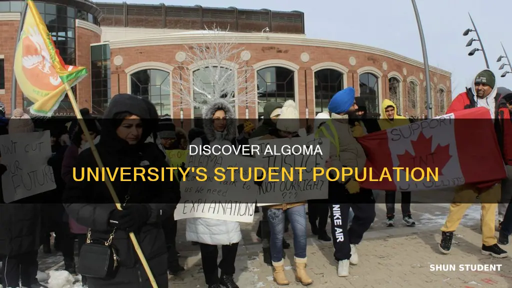 how many students at algoma university