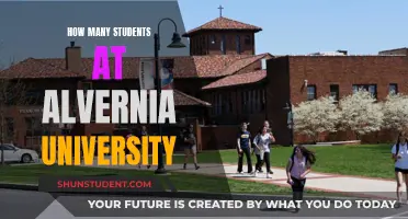 Exploring Alvernia University's Student Population: Current Numbers