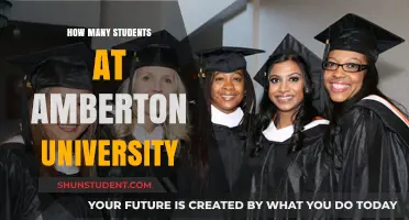 Exploring Amberton University's Student Population