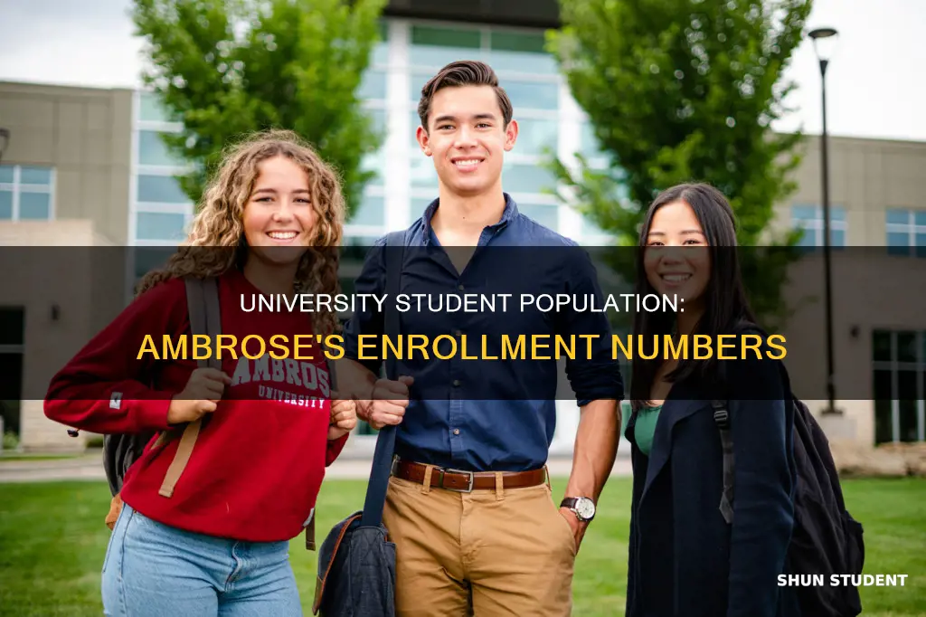 how many students at ambrose university