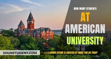 American University Student Population: How Many?