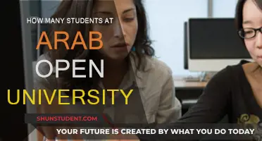 Arab Open University: Current Student Population and Insights