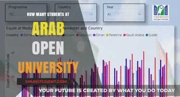 Arab Open University: Student Population Insights