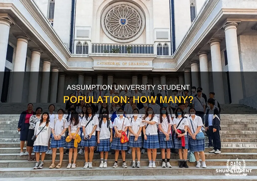 how many students at assumption university