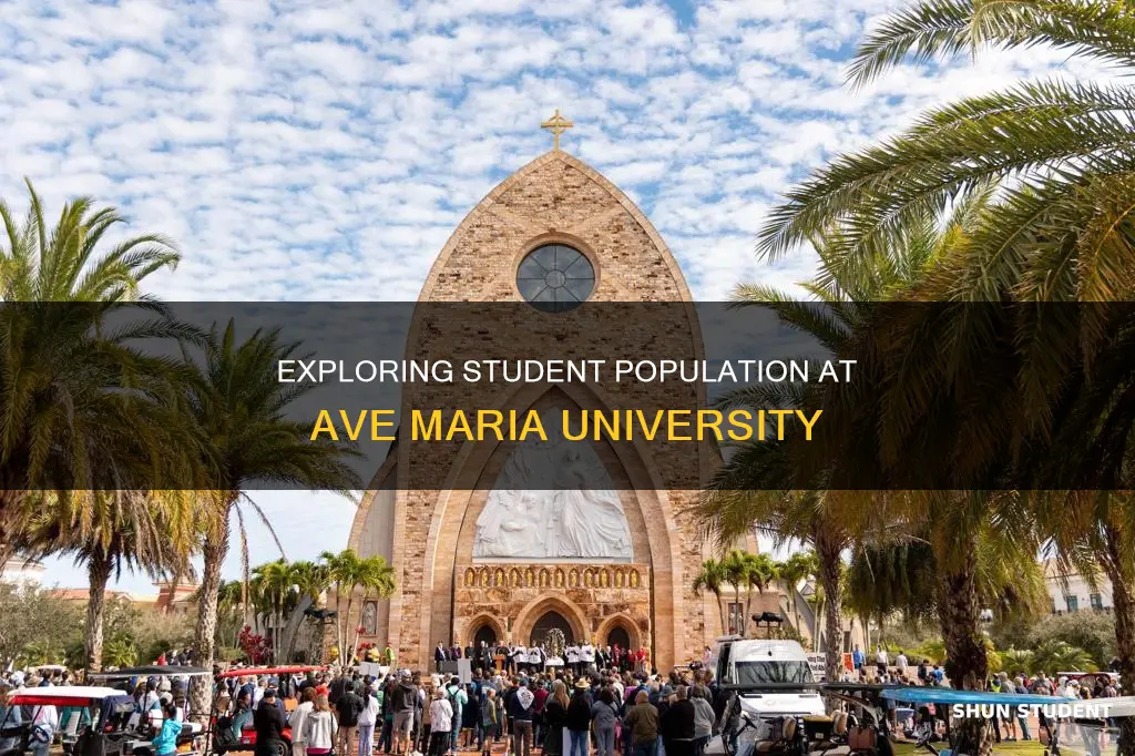 how many students at ave maria university