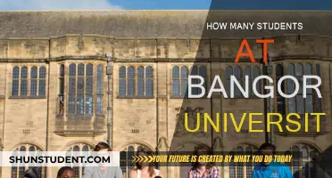 Exploring Student Population at Bangor University: A Comprehensive Overview