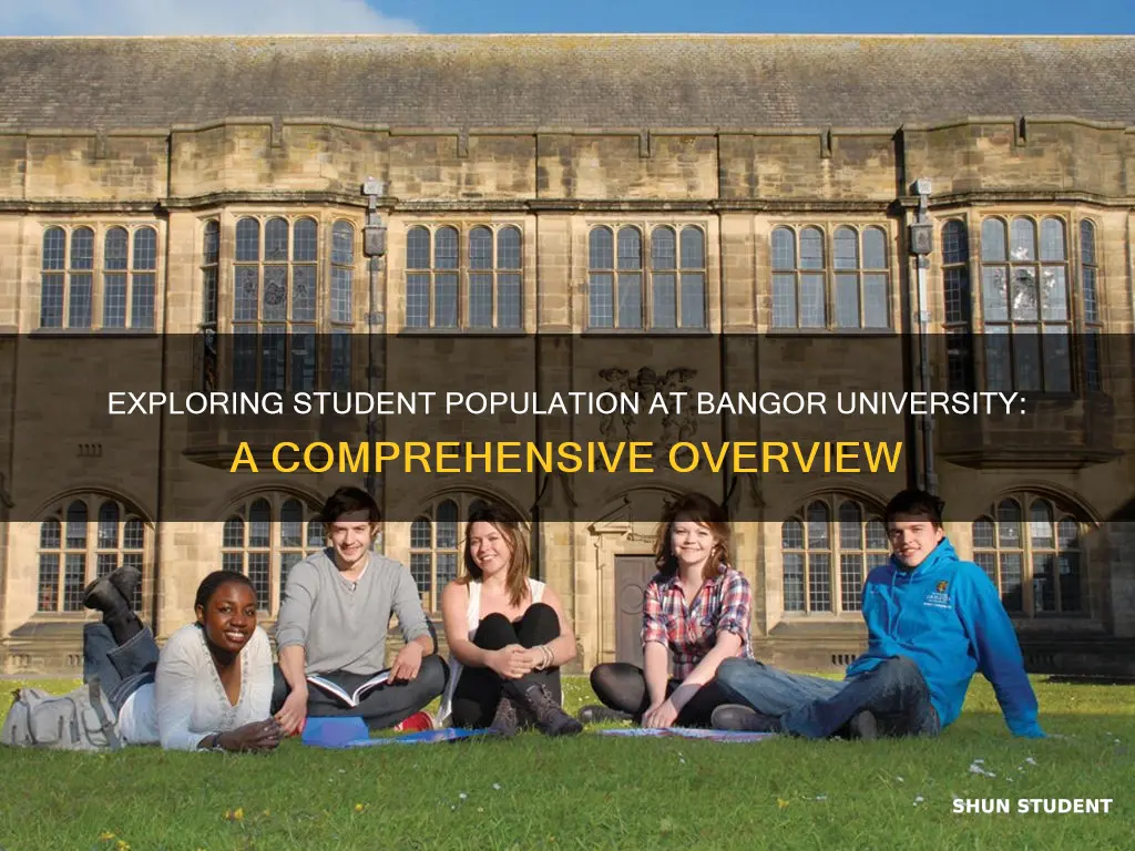 how many students at bangor university