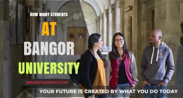 University Student Population: Bangor's Numbers
