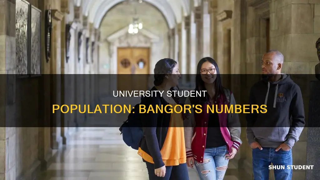 how many students at bangor university