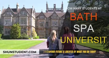 Bath Spa University: Student Population and Campus Life