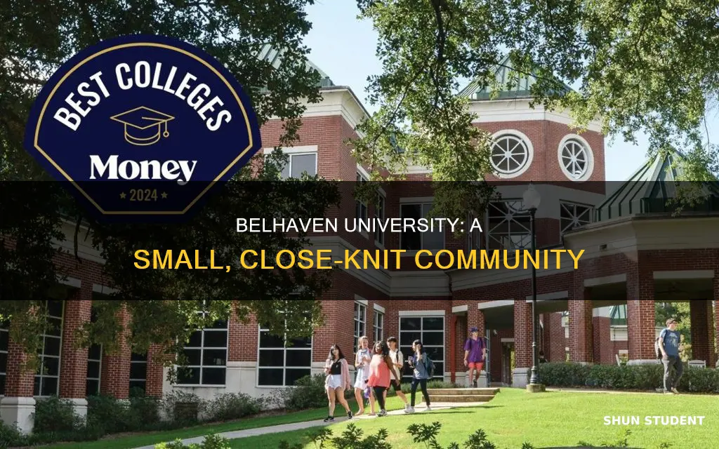 how many students at belhaven university