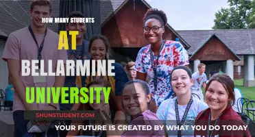 Exploring Bellarmine University's Student Population