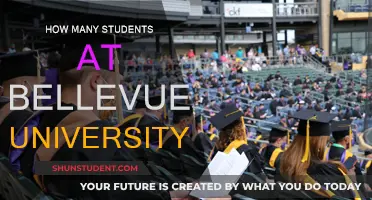 Bellevue University: A Student-Centric Community of Thousands