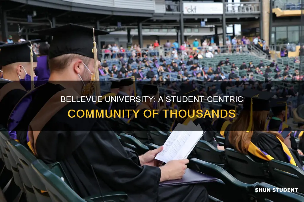 how many students at bellevue university