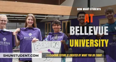 Bellevue University: A Thriving Student Community