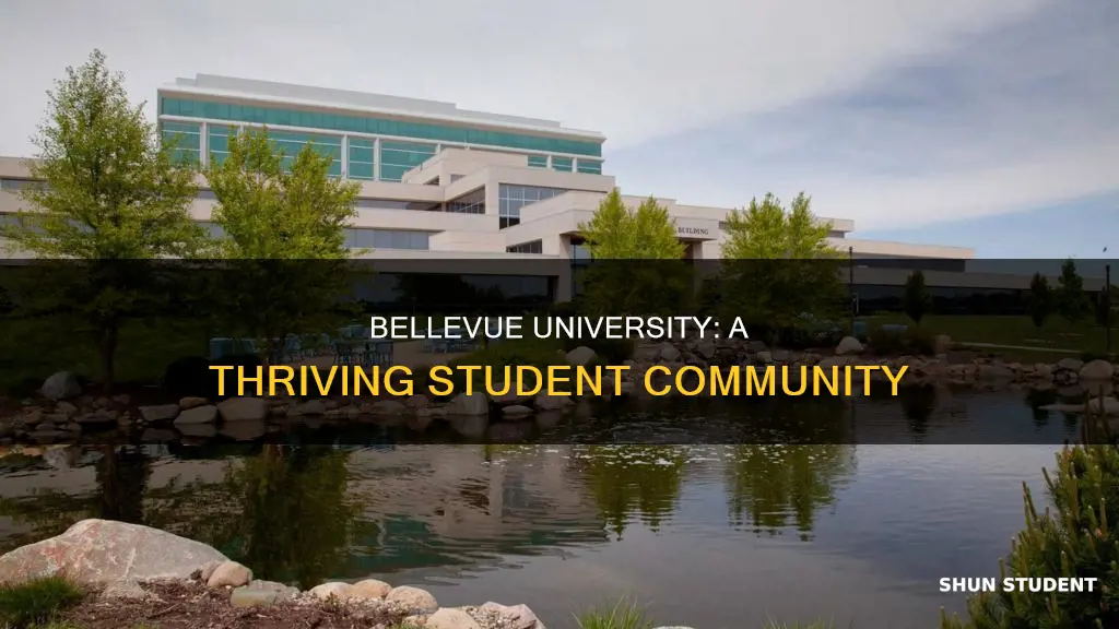 how many students at bellevue university