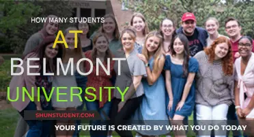 Belmont University's Student Population: A Comprehensive Overview