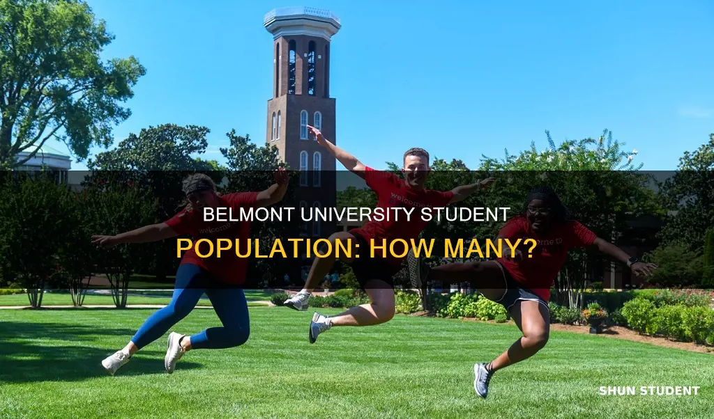 how many students at belmont university