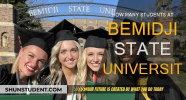 Bemidji State University: Current Student Population and Trends