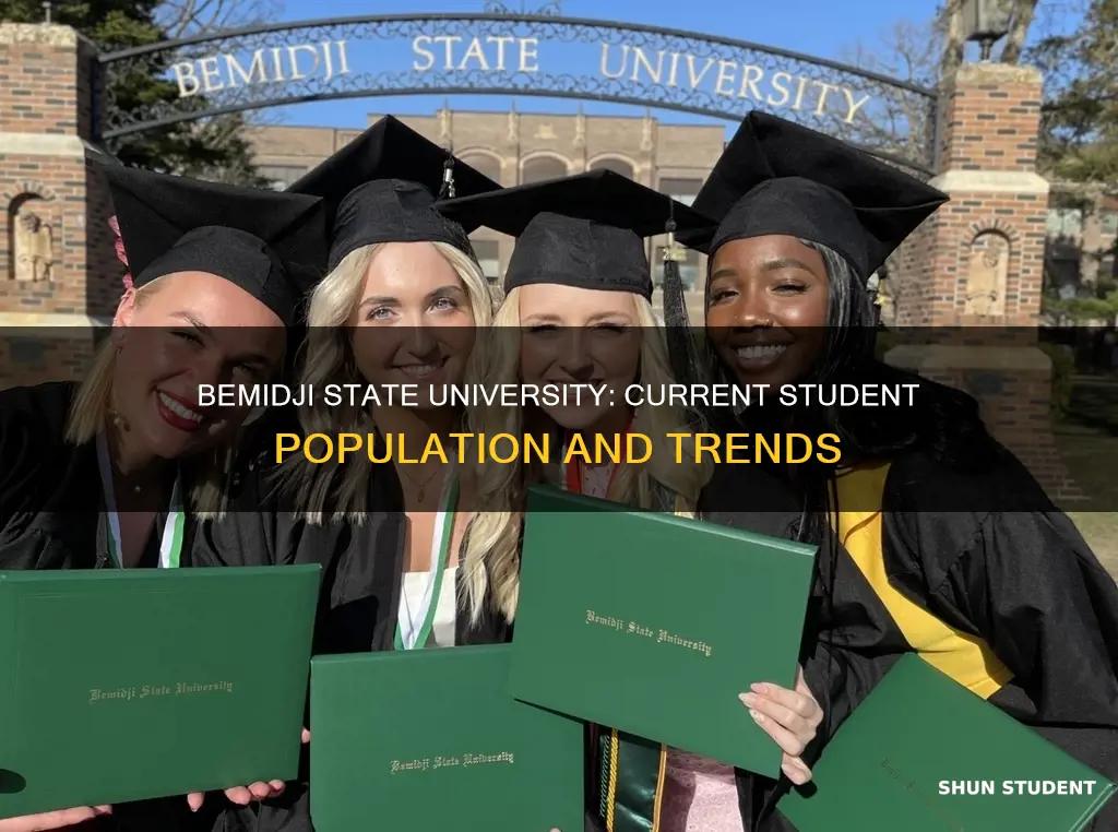 how many students at bemidji state university