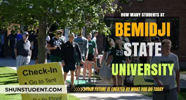 Bemidji State University: Student Population Insights