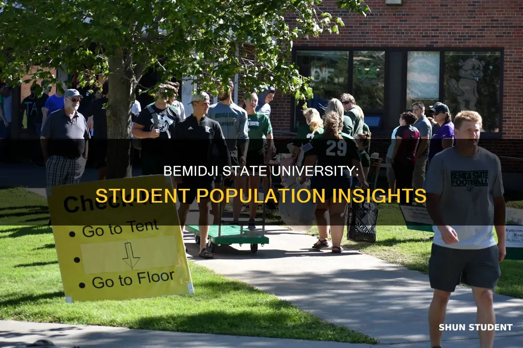 how many students at bemidji state university