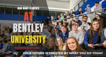 Exploring Bentley University's Student Population