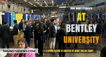 Bentley University's Student Population: A Comprehensive Overview
