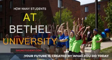 Bethel University's Student Population: How Many Are There?