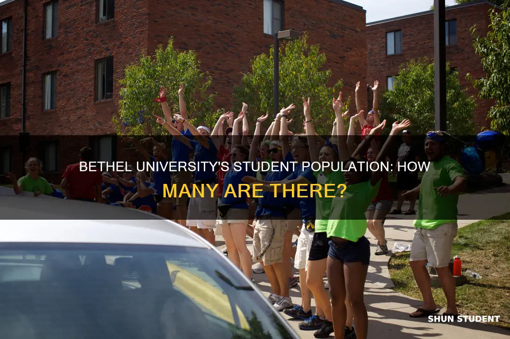 how many students at bethel university