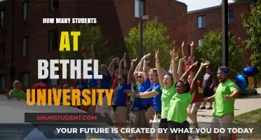 Bethel University: Student Population and Campus Life