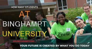 Exploring Student Population at Binghamton University