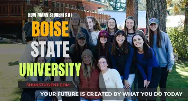 Exploring Boise State University's Student Population