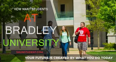 Discovering the Student Population at Bradley University