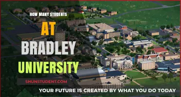 Discover Bradley University's Student Population