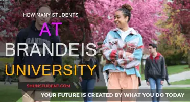 Brandeis University: Understanding Student Population and Campus Life