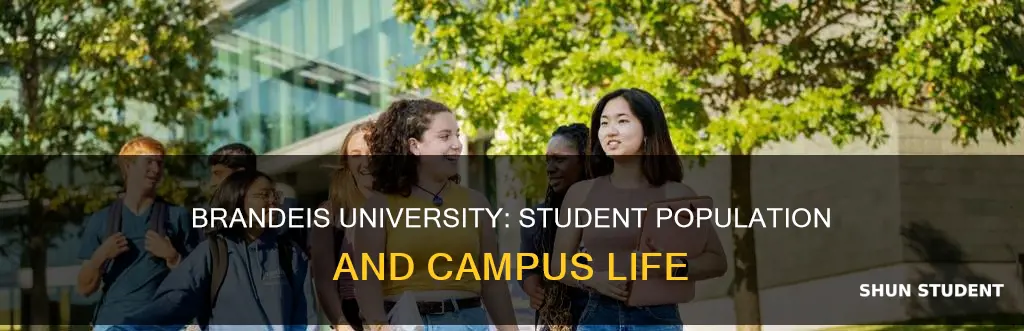 how many students at brandeis university