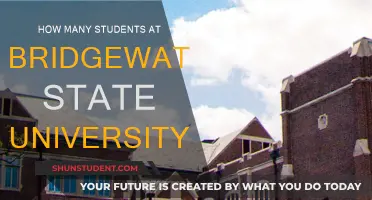 Exploring Bridgewater State University's Student Population