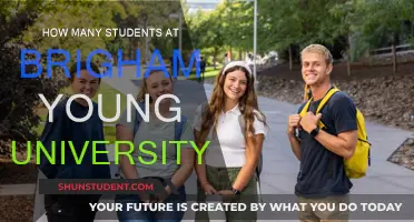 A Comprehensive Student Body: Brigham Young University