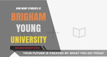 Discovering Brigham Young University's Student Population